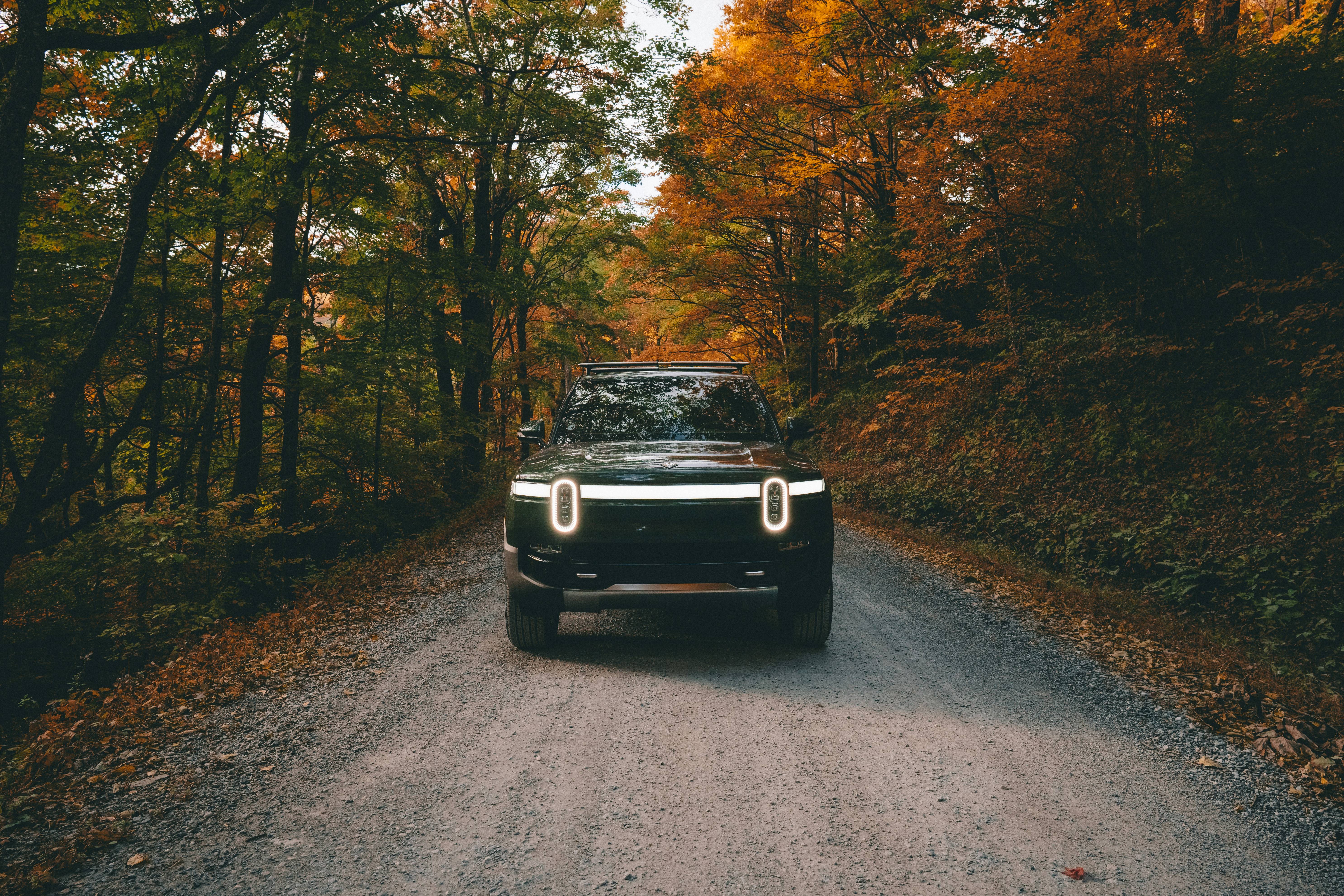 a car on a dirt road surrounded by trees