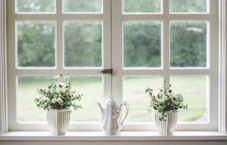 Cultivating Your Indoor Eden: The Definitive Guide to Professional-Grade Indoor Gardening
